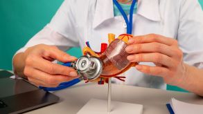 A Doctor Holding A Stethoscope Over A Model Of A Human Heart