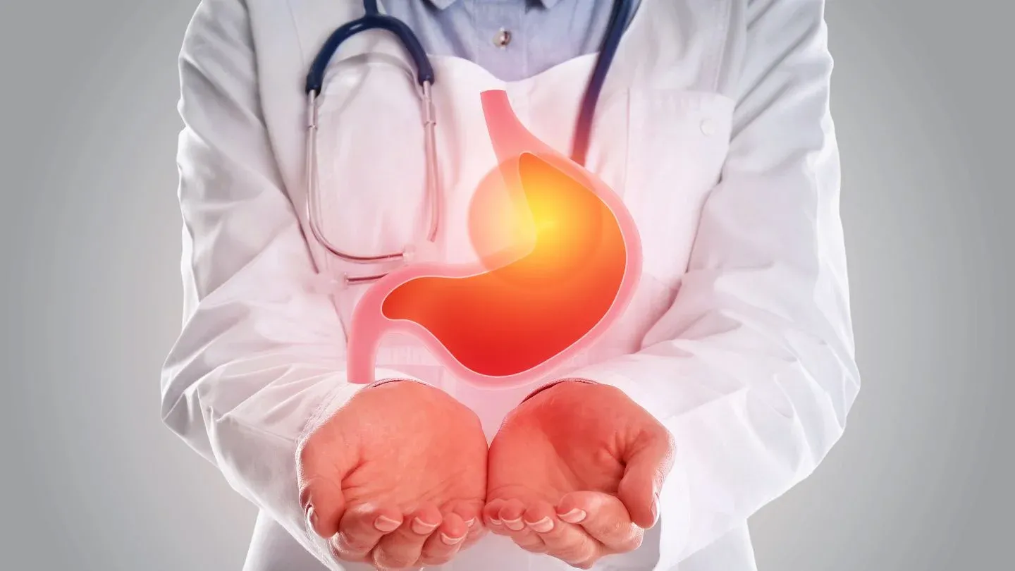 Doctor Holding A 3D Image Of A Stomach