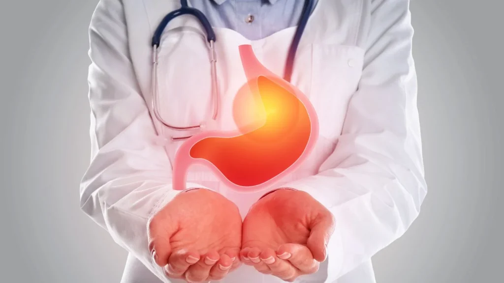 Doctor Holding A 3D Image Of A Stomach
