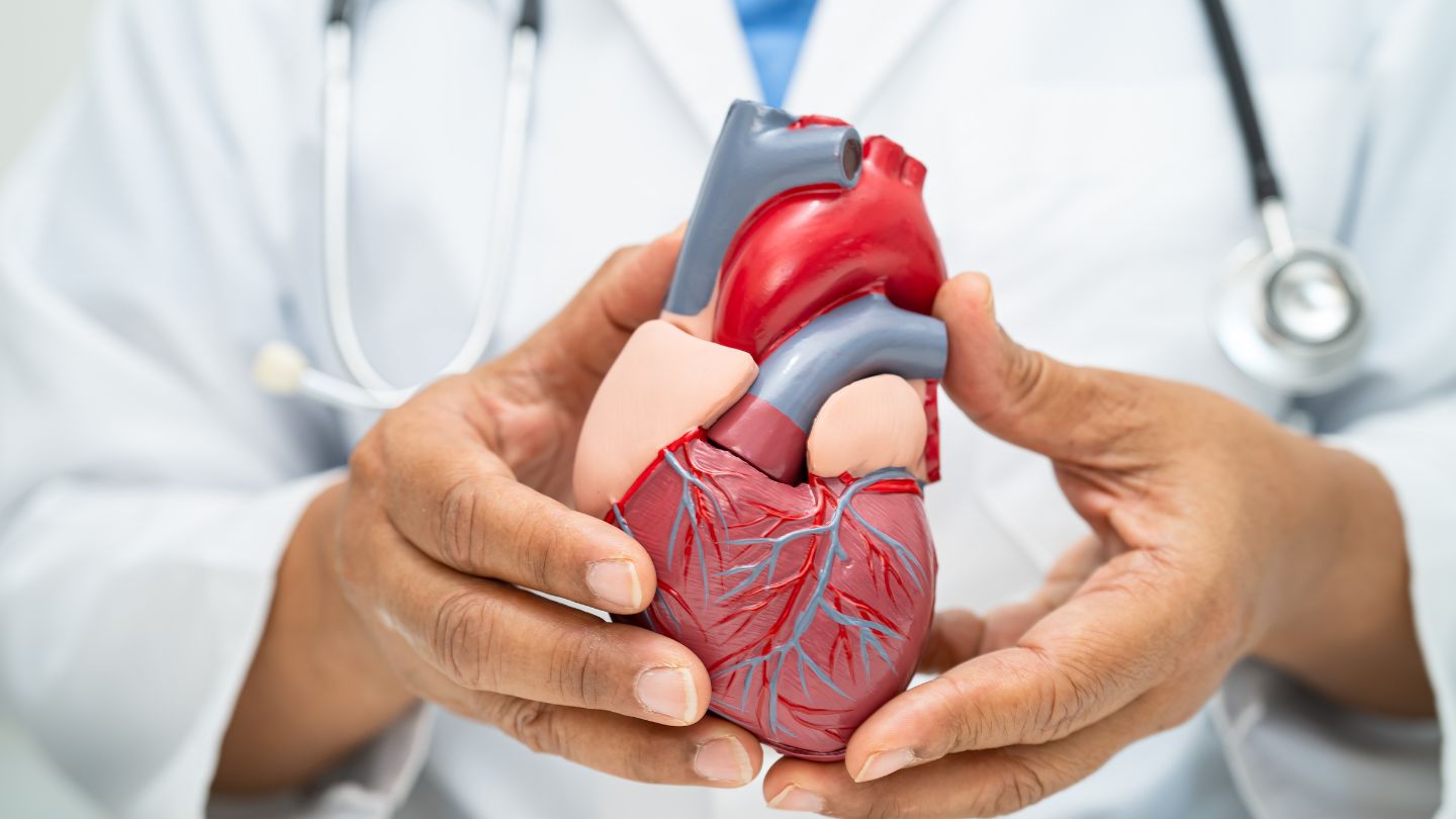 Cardiovascular Health